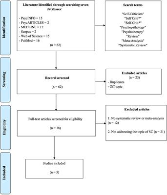State of the art of the literature on definitions of self-criticism: a meta-review
